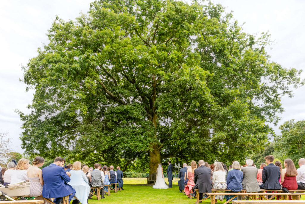 A group of people seated outdoors on benches, watching a wedding ceremony taking place under a large, leafy tree. Copyright Somerside Photography Ltd // www.somersidephotography.com